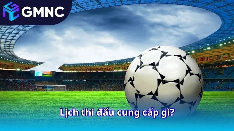 Lịch thi đấu cung cấp gì?